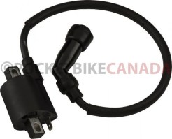 Ignition_Coil_ _400cc_Jinashe_Opposing_Prongs_1