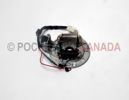 Stator Generator w/ Trigger Sensor for 125cc, 306, Dirt Bike 4-Stroke - G2060023