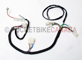 Wire Harness for 250cc, X31(19/16), Dirt Bike 4 Stroke - G2080005