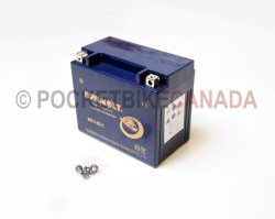 Storage Battery Nano-Gel MG12-BS for Little Chief 200cc UTV Side by Side ROV - G8010003