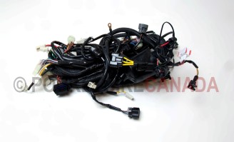 Complete Body Wiring Harness for Ranger 600cc UTV Side by Side ROV - G8020010